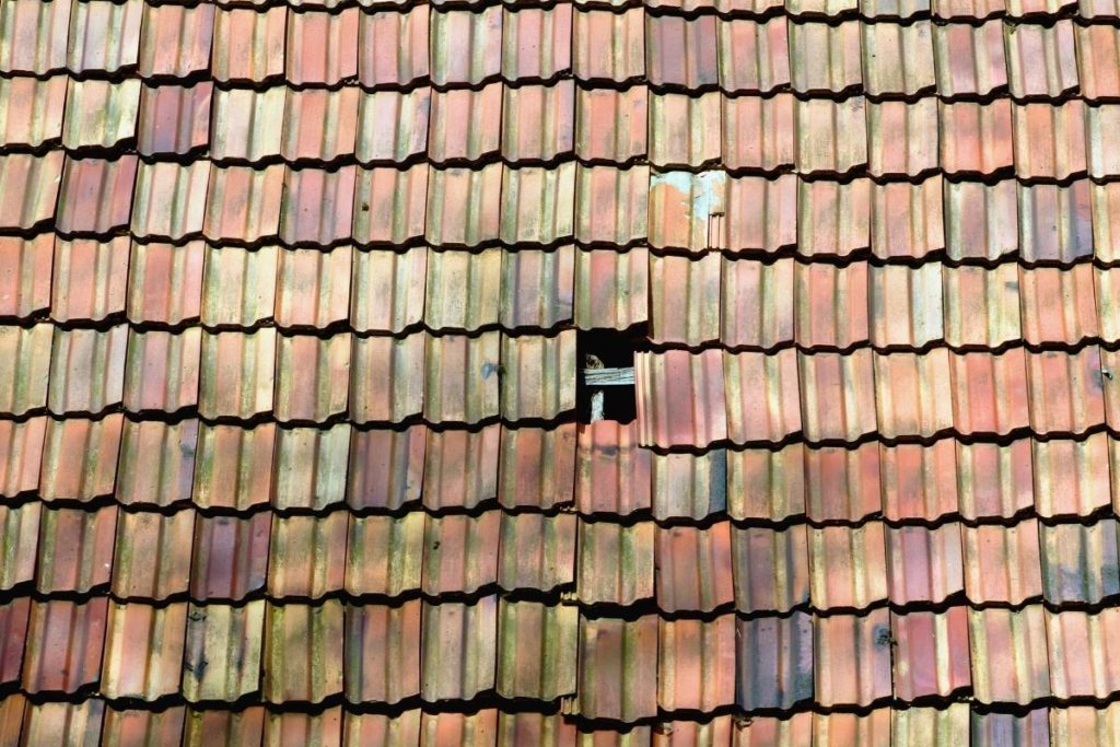 Old Roof