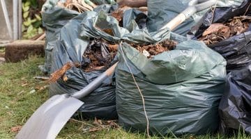 QLD exclusive use courtyard by-law breach committee action