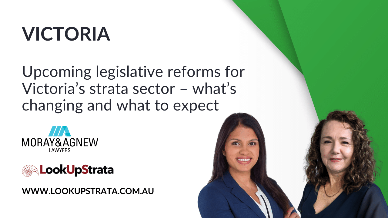 VIC strata law webinar promo