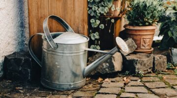Watering Pots
