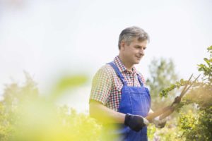 apartment garden maintenance