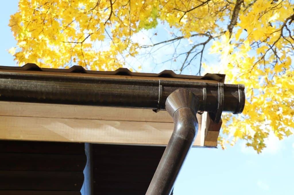 can body corporate plant trees inside a lot without consent qld