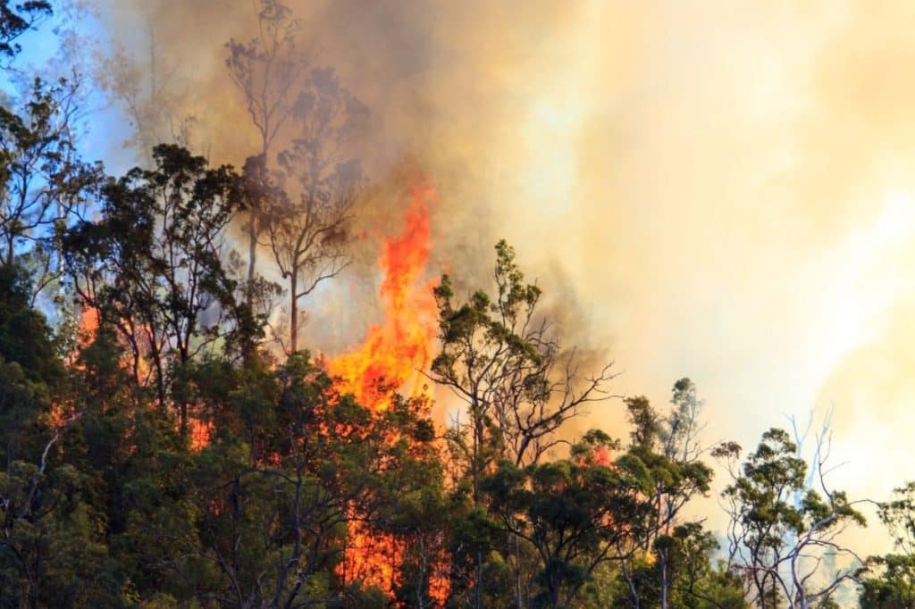 can strata use insurance payout for other capital works nsw