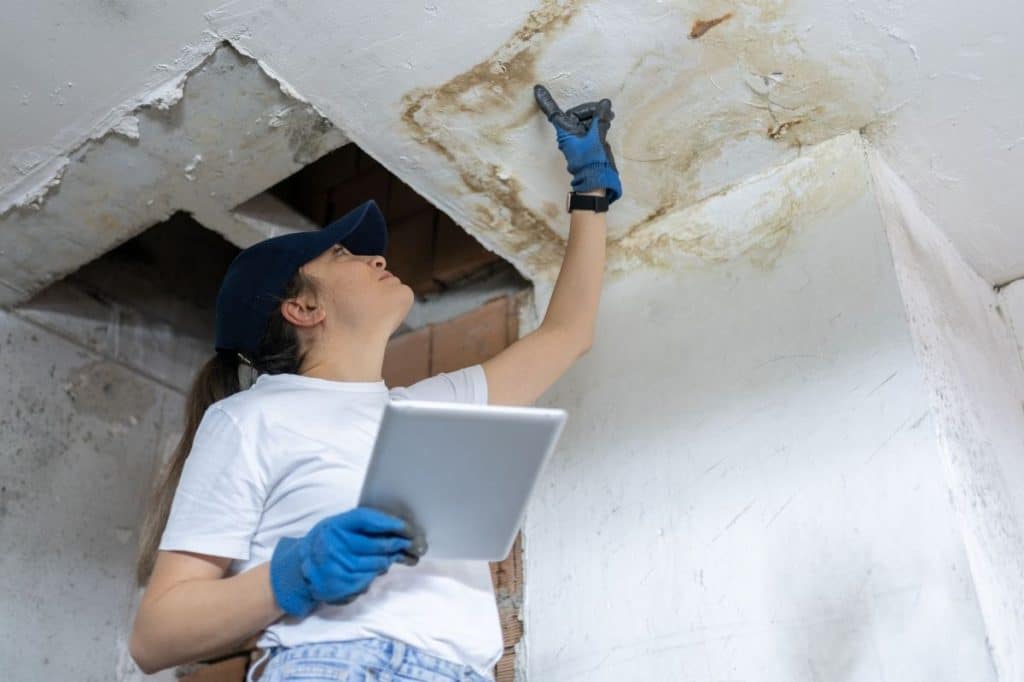 cost recovery body corporate delayed structural repairs QLD