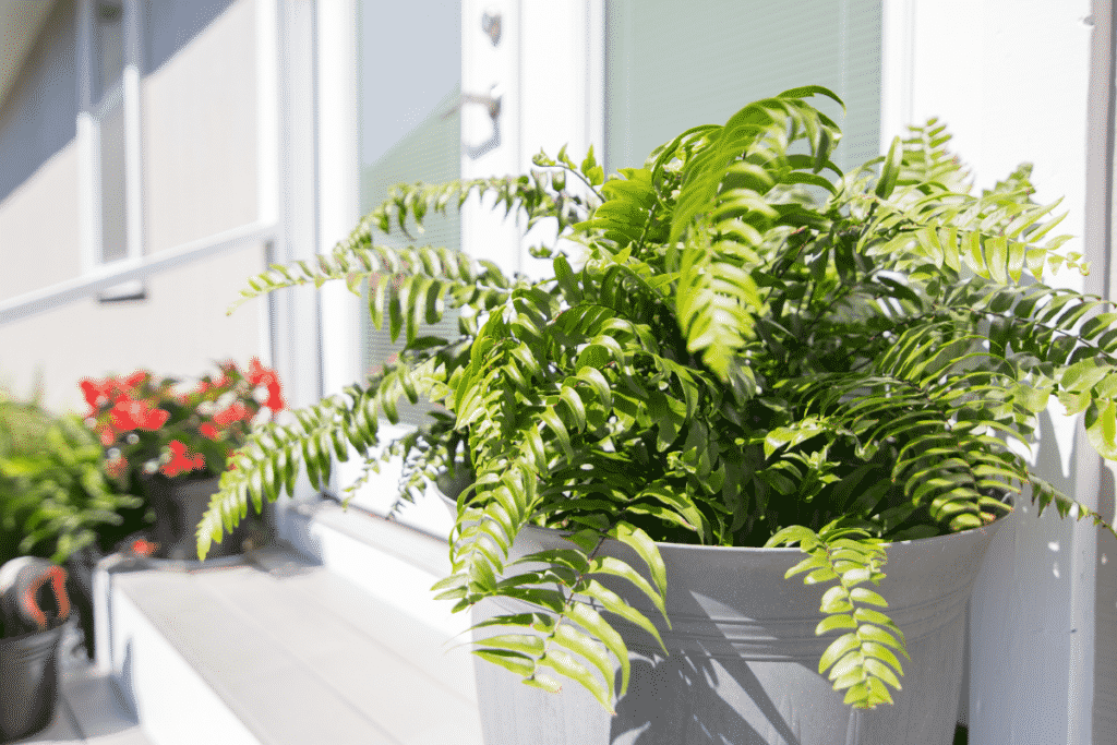 fire safety in apartments