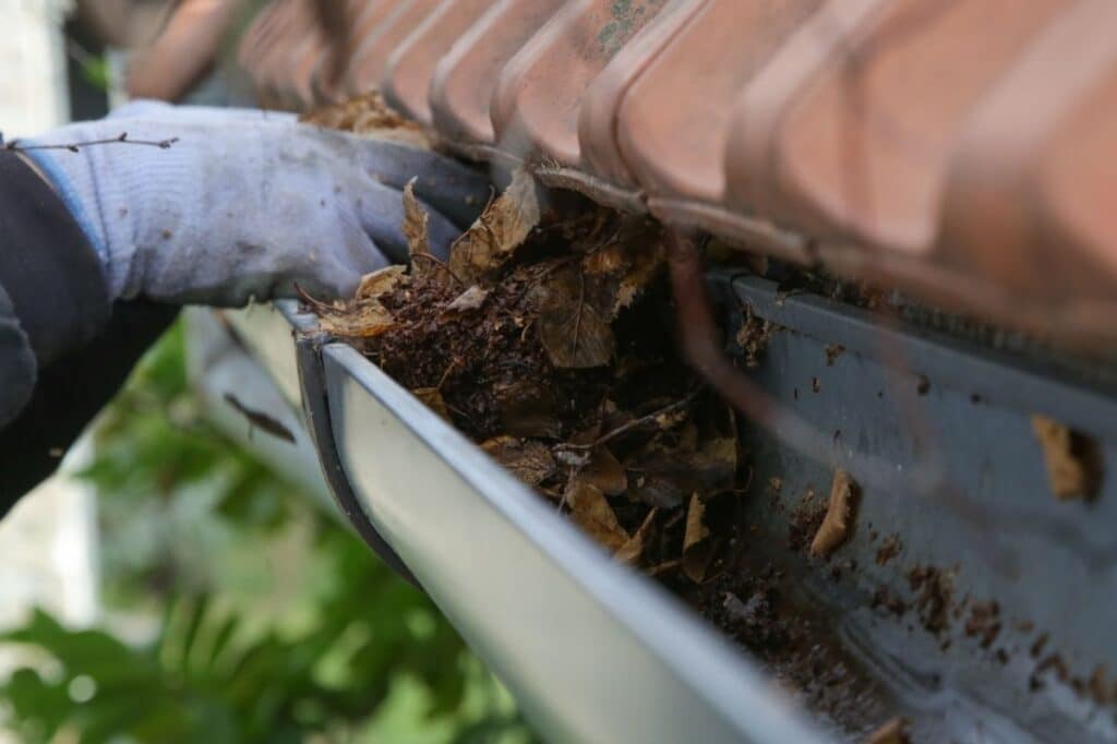 gutter cleaning