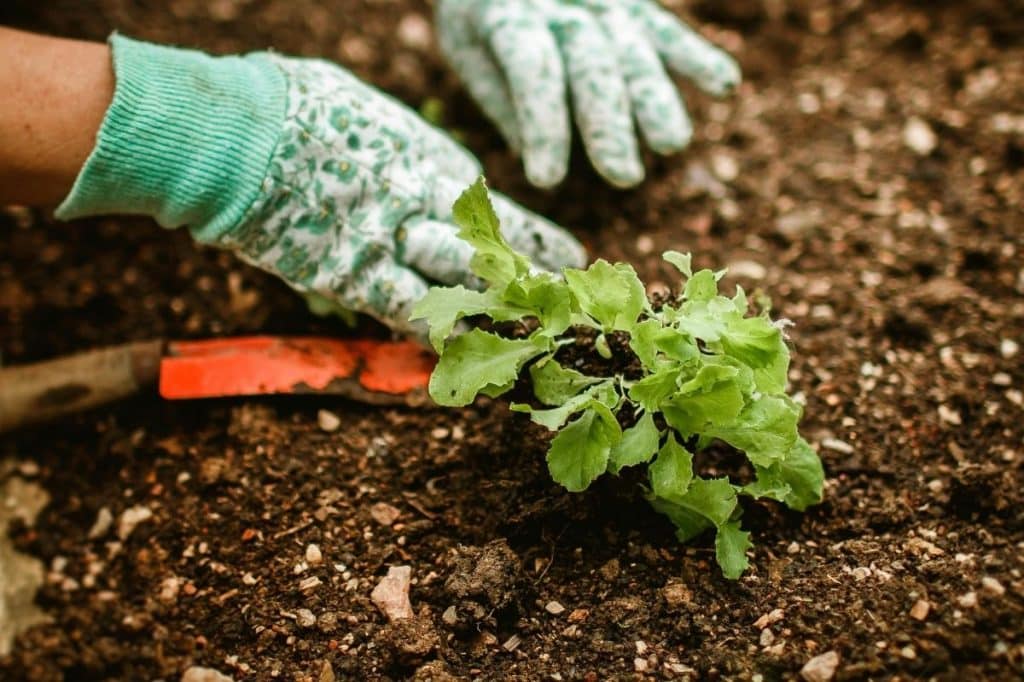 infrastructure resolution