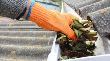 maintenance of common property