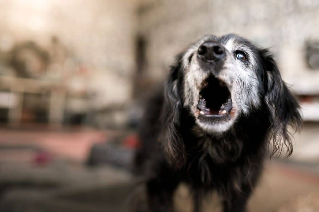 nsw Strata Disputes Escalate