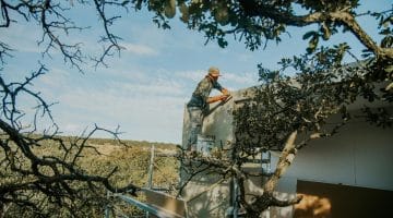 qld body corporate failing to maintain common property structural defects