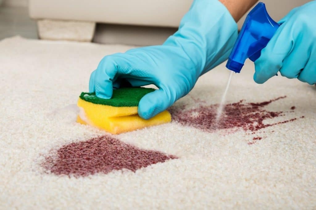 stain on common property carpet body corporate QLD