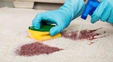 stain on common property carpet body corporate QLD