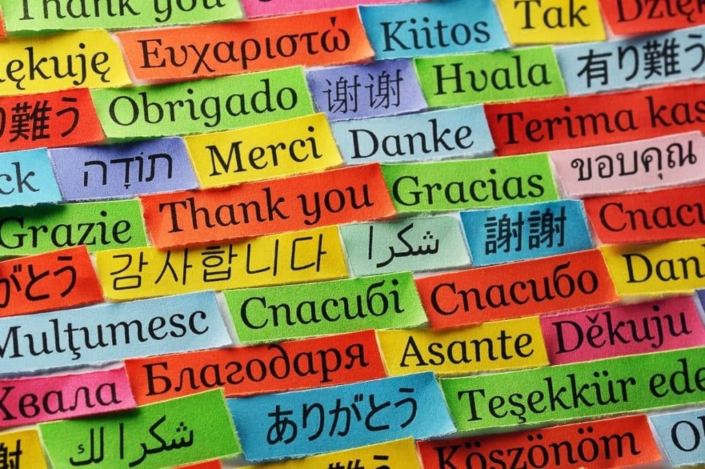 translating strata notices minutes non-English speaking owners NSW