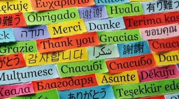 translating strata notices minutes non-English speaking owners NSW