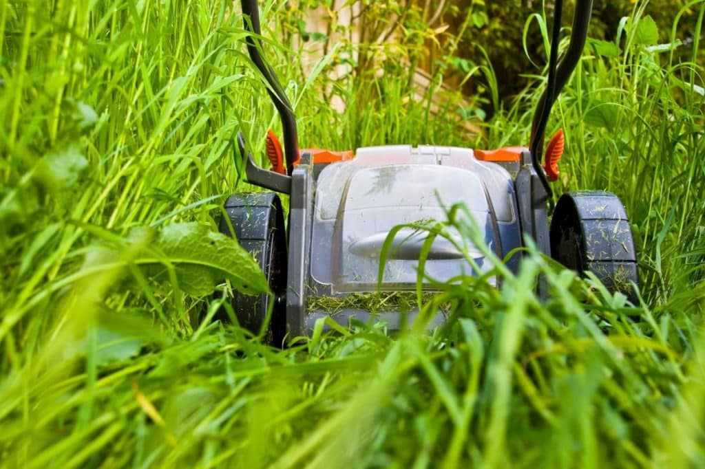 vergrown exclusive use area body corporate QLD