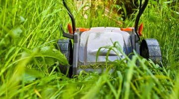 vergrown exclusive use area body corporate QLD